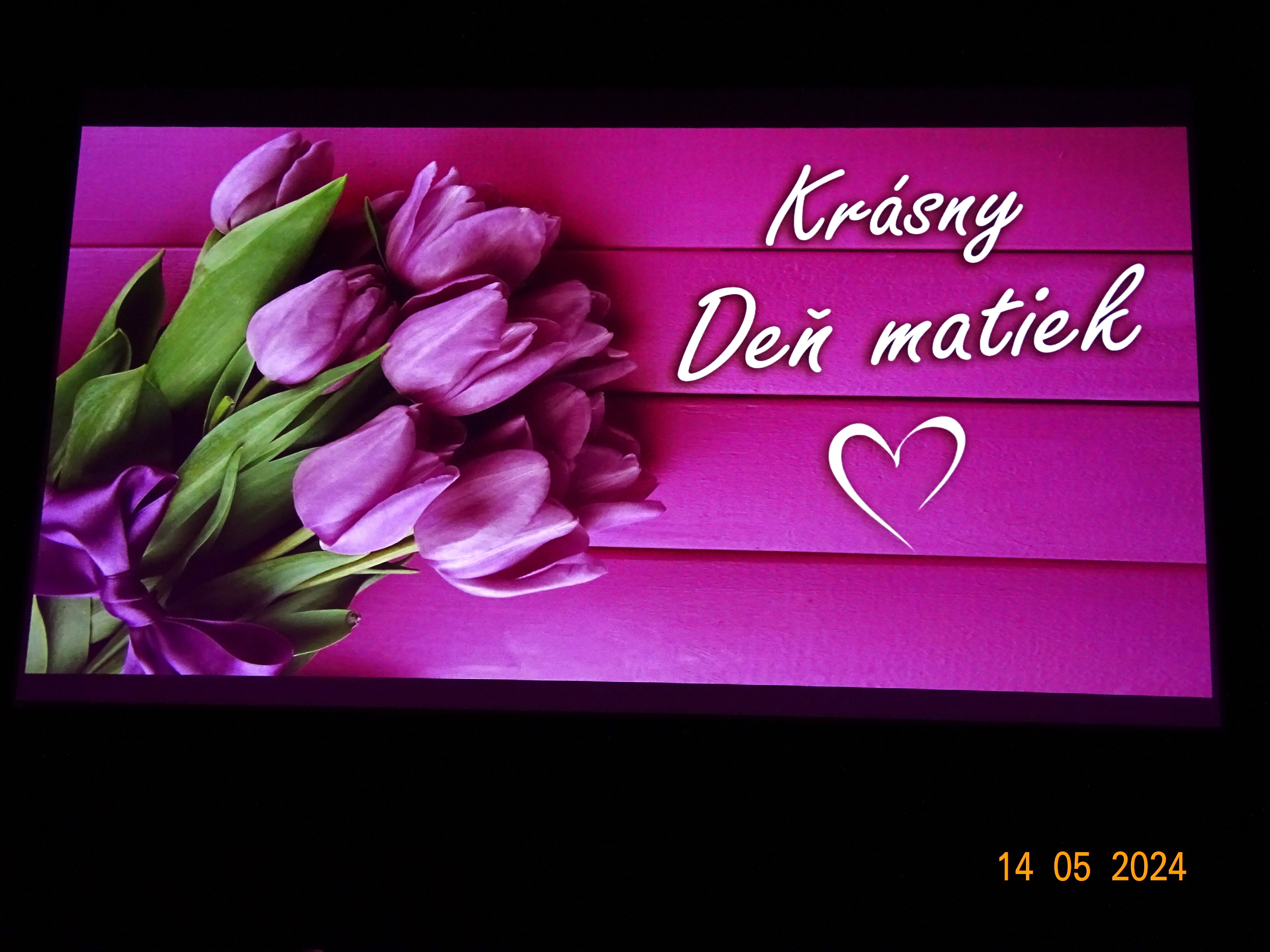 DSC08109